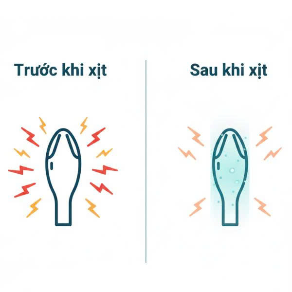 Infographic khoa học giải thích cơ chế hoạt động của Lidocaine trong chai xịt chống xuất tinh sớm, làm giảm nhạy cảm ở đầu dương vật.